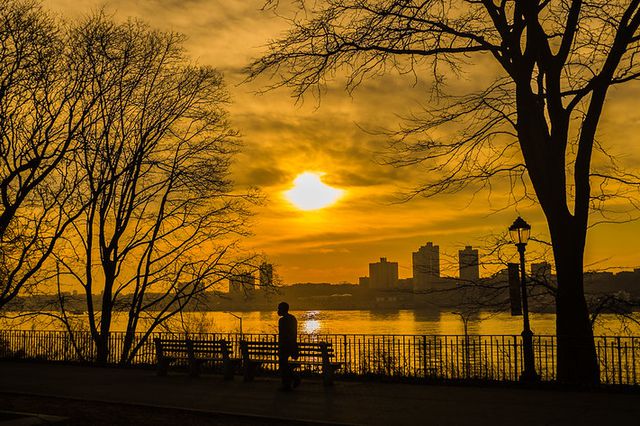 A golden light permeates Riverside Park during sunset along the Hudson Rivdr.